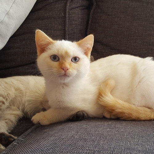 Charlie