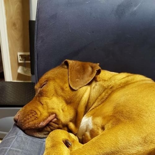 Skye