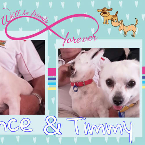 Lance & Timmy ~ On Trial 18/7/16
