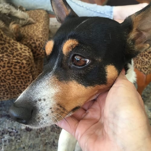No photo for Heidi A Sweet Playful Young Girl