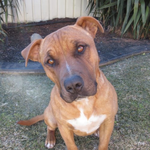 Dre *On Trial in His New Home*