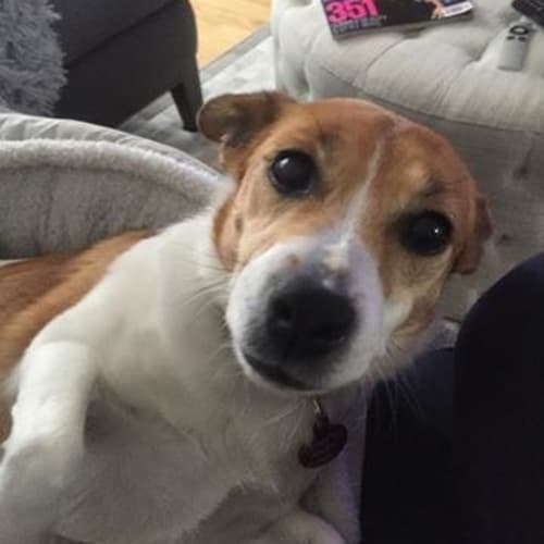 Millie