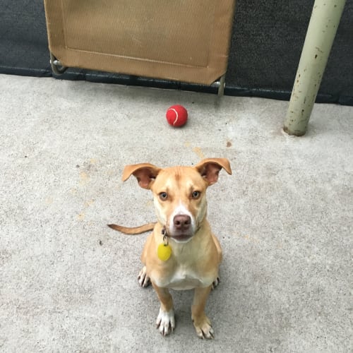 Murphy