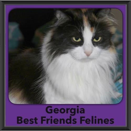 Georgia 