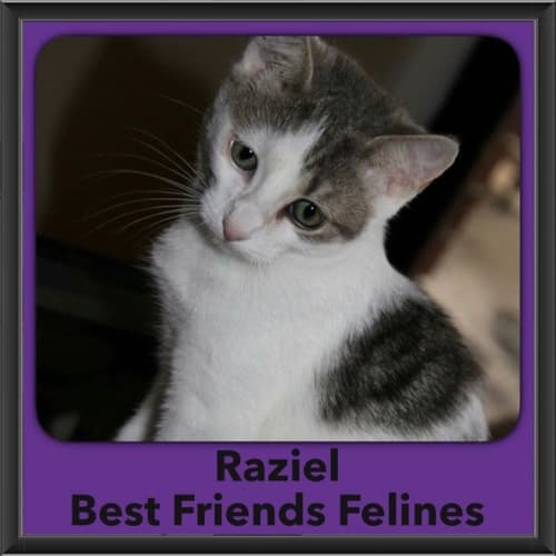 Raziel