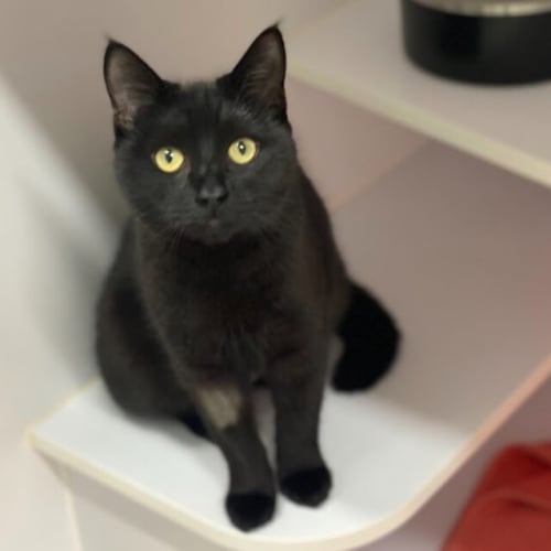 Luna