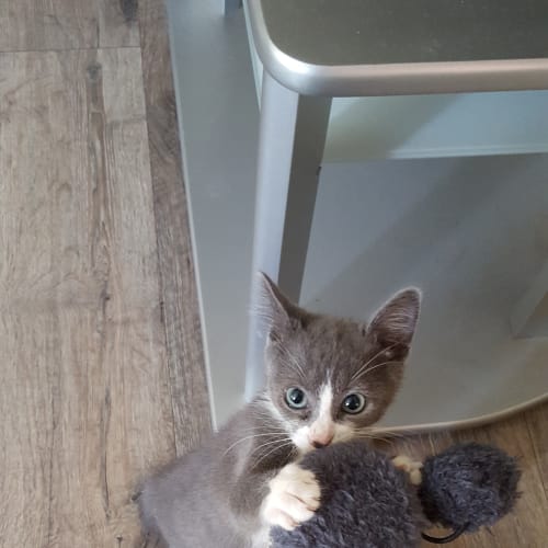 Eleanor