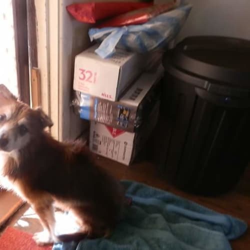 No photo for Lucky ** A Divine Little Man **