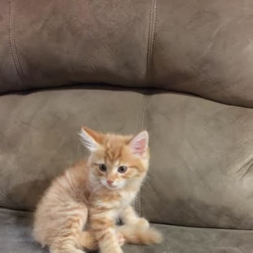 Peanut and Hazel