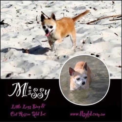 Missy