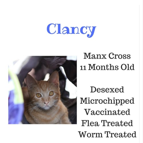 Clancy