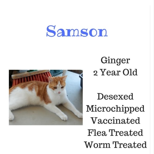 Samson