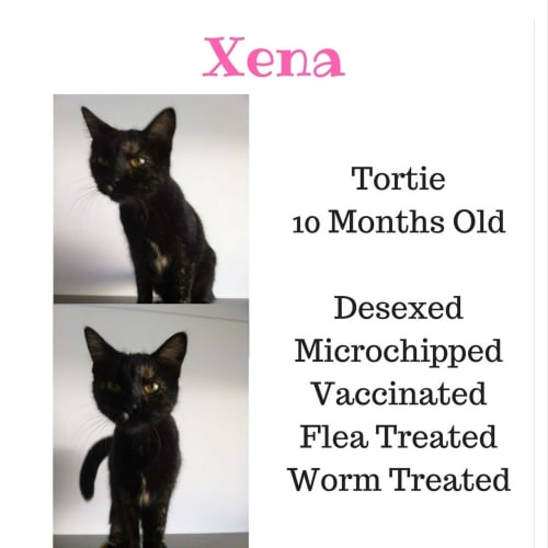 Xena
