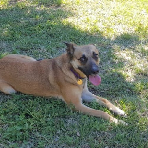 Emmy (D3382) 