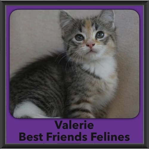 Valerie 