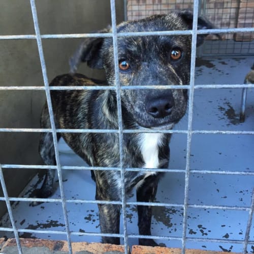 Smiley the Happy chap!