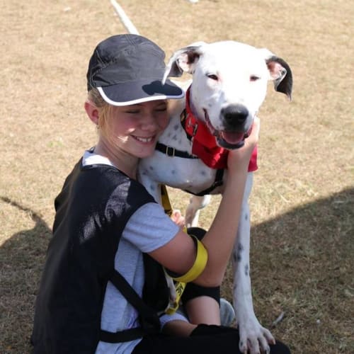 Angus (At Rspca Big Adopt Day Sept 17 Brisbane)