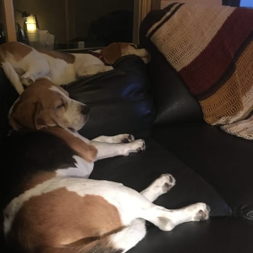 Basil & Tilly