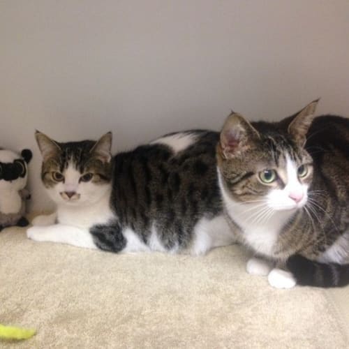 Jelly and Sora