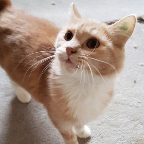 Adoption day Sunday May 15