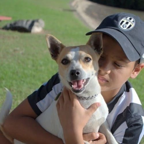 No photo for Biscotti A Sweet Young Man