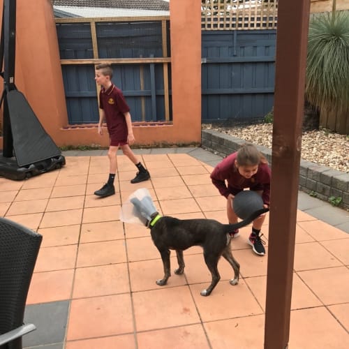 Siggy loves kids