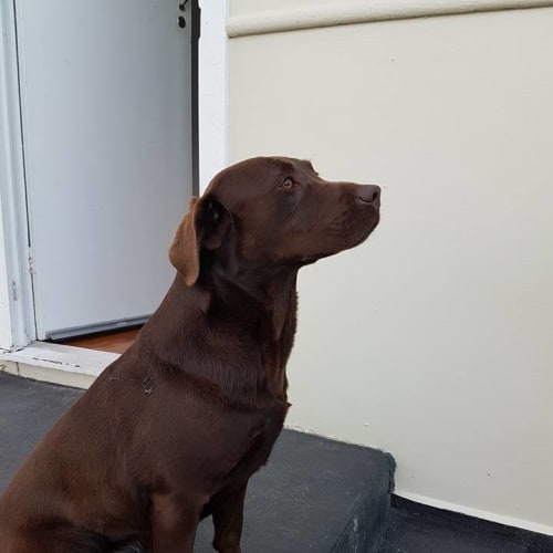 Bella