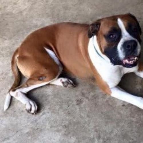 Tyson