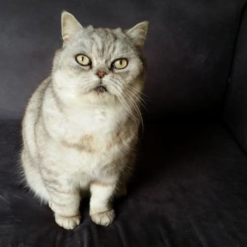 Casper