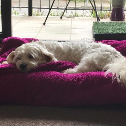 Max