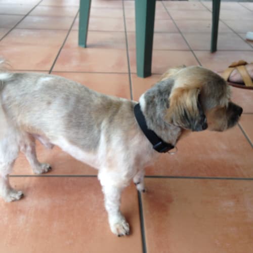 Walter 