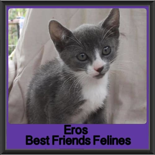 Eros