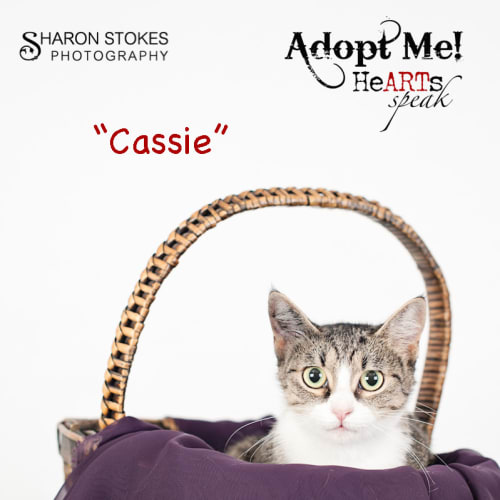 Cassie
