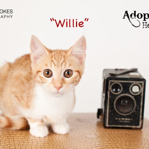 Willie/Wilma