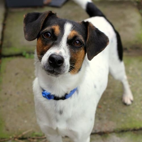 Betty @ Squawks West Gosford