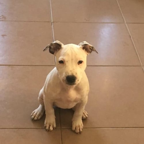 Skye