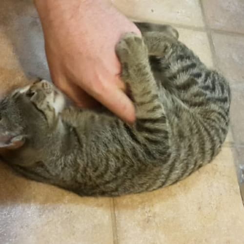 Tom