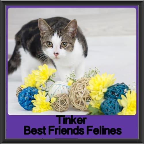 Tinker