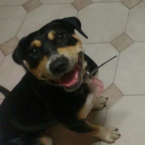 Maggie