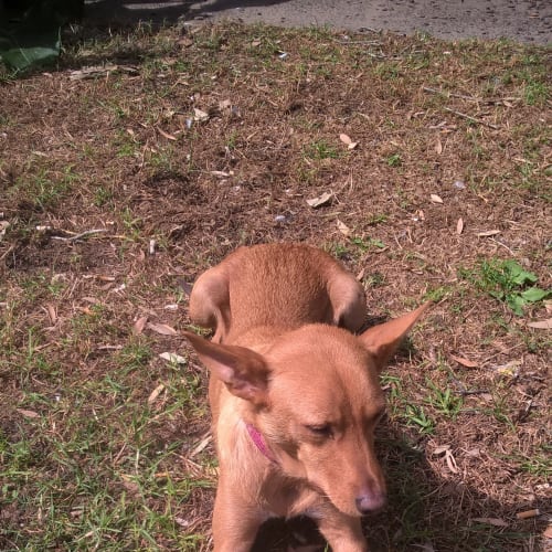 Narla