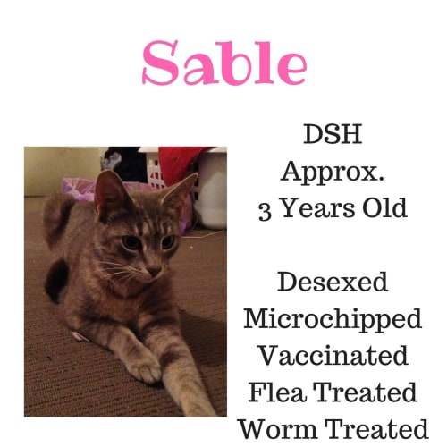Sable