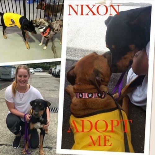 Nixon 