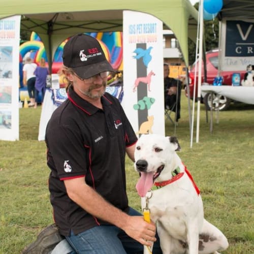 Cuddles (adoption pending)