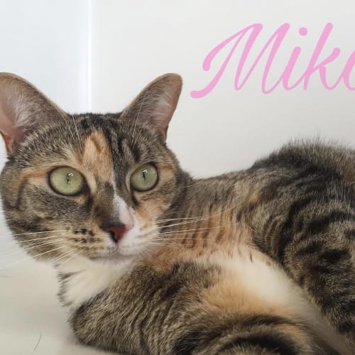 Mika