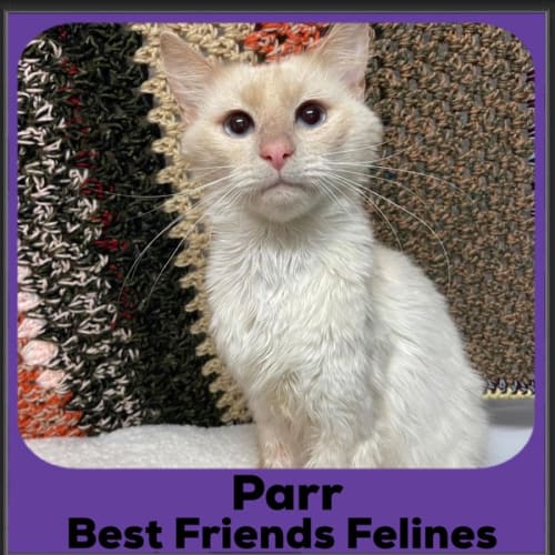 Parr