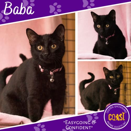 Baba