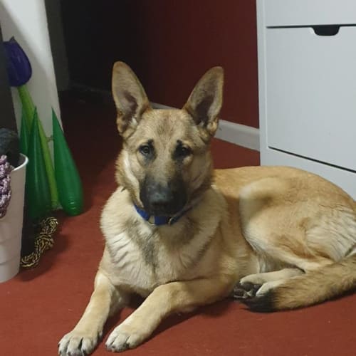 Ella