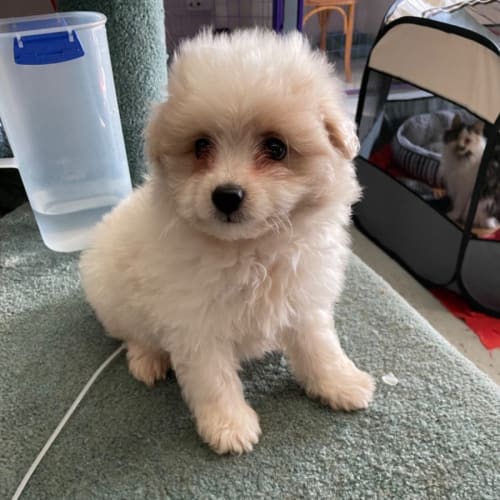 Lucy