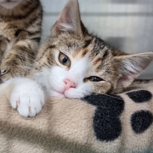 May - A
