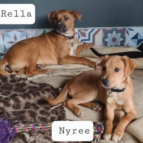 Nyree or Rella